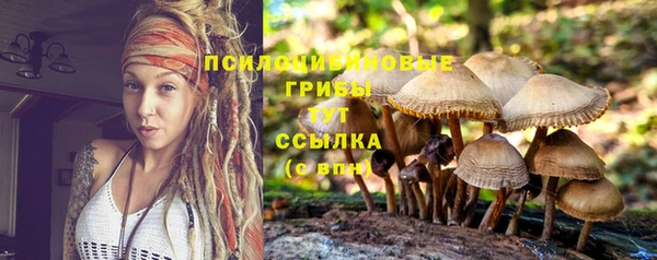молекула духа Киренск