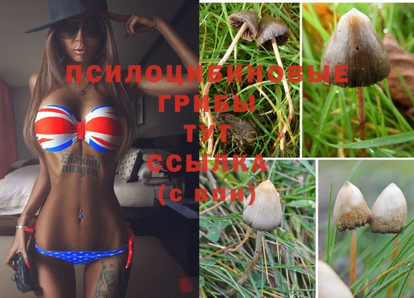 MDMA Киреевск
